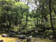 -西芳寺(苔寺)