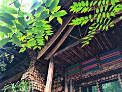 -呀路古热带植物园
