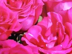 -新世界大丸百货