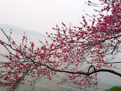 android_upload_pic-西湖天地