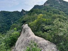 -大岭沟猕猴桃谷风景区