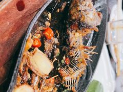 -老黑板筋(顺义总店)