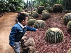 -呀路古热带植物园