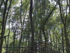 -富春桃源风景区