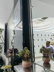 -组合发型