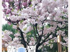 -唐城墙遗址公园