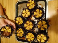 生海胆-海胆小馆(东北水饺·春柳店)