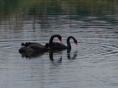 -雅达·阳羡溪山小镇中心