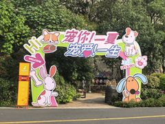 -苏州乐园森林水世界