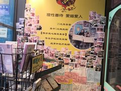 -猫咪博物馆(顶澳仔猫街店)