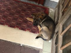 -金杨新村六街坊