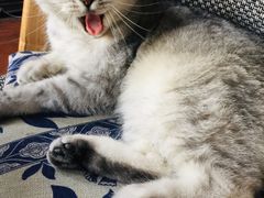 -不舍昼夜咖啡馆