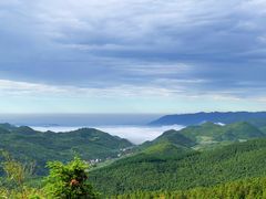 -武陵山森林公园