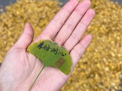 -古大圣慈寺