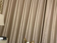 -瑞派宠物医院·内科·软组织·绝育中心(沈阳八纬路分院)