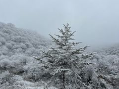 -太子岭滑雪场