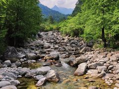 -秦岭风景区