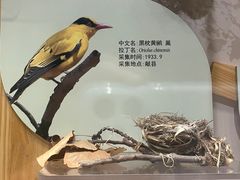 -天津自然博物馆
