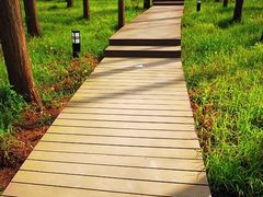 DSC_3704-上海怡沁园度假酒店