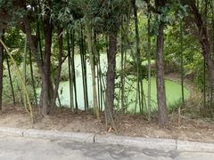 -日照海滨国家森林公园
