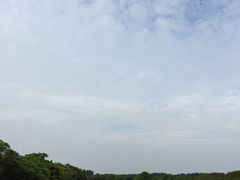 -大湾区中央湿地公园