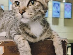 -逃脱反斗城沉浸剧情密室(北京路店)