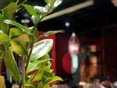 大堂-浩海火烧云傣家菜(京广店)
