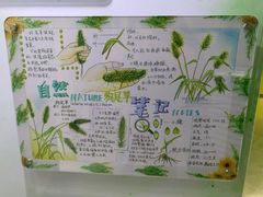 -上海昆虫博物馆