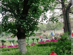 -东莞植物园