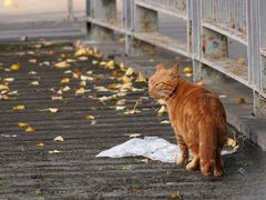 -苏州河梦清园环保主题公园