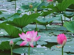 -云龙湖旅游景区