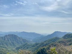 -大岭沟猕猴桃谷风景区