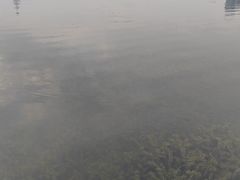 -世纪缘湖滨花园酒店(玄武湖店)