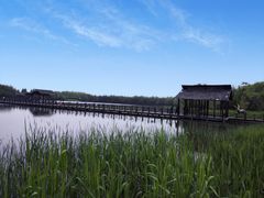 -溱湖国家湿地公园