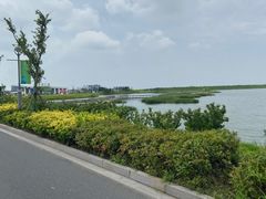-启东黄金海滩景区