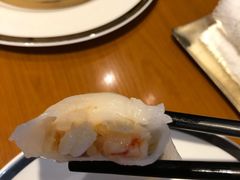 -广州富力君悦大酒店空中花园