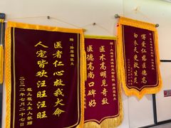 -爱派特动物医院·全科诊疗中心