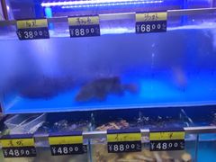 水产区-冯姐生蚝(迎宾广场店)