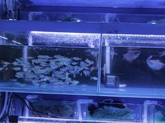 -三旗百汇商品城