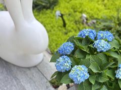 -四海公园(南山区)