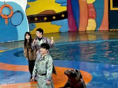 -海合安武汉极地海洋公园