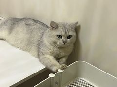 -北京佳信宠物医院
