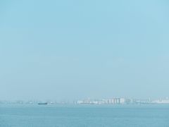 -海鸥岛