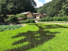 -韶山毛泽东同志故居