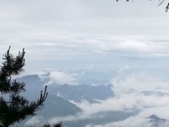 -秦岭天竺山景区