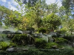 -东莞植物园