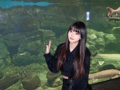 -南昌融创海世界