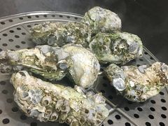-蚝专家(北滘店)