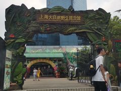 -上海大自然野生昆虫馆(东方明珠·爬宠昆虫探索中心)