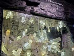 -湖南省地质博物馆